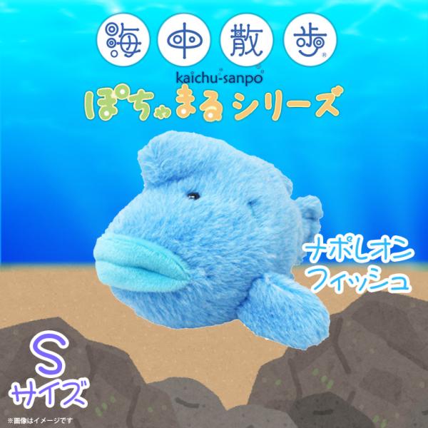 ぬいぐるみ 魚 ナポレオンフィッシュ ぽちゃまる AKAITYUPOTYAS