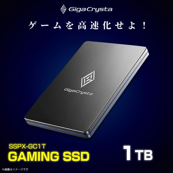 外付けハードディスク SSD ゲーミング 1TB SSPX-GC1T 4207 Giga Crysta 