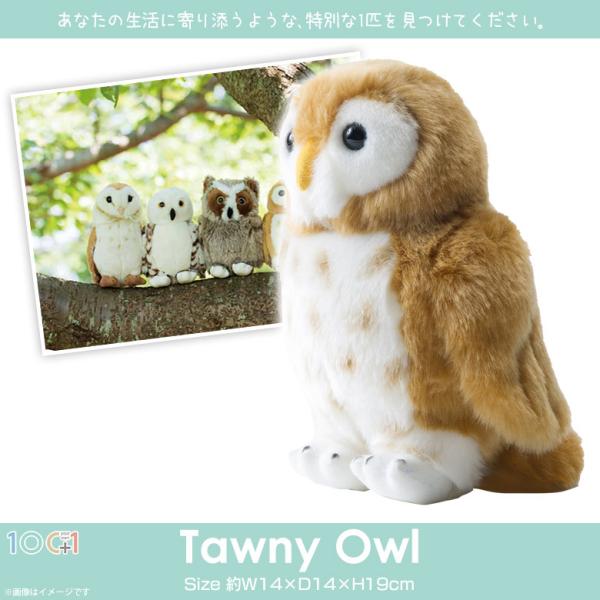 フクロウ リアル❗️ぬいぐるみ 約35cmタグ付き【残り2点】Mansa Amazon.co.jp: フクロウ ぬいぐるみ リアル ふくろう 梟 枕
