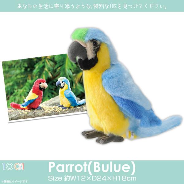 ぬいぐるみ 鳥 インコ ルリコンゴウインコ SM047 0165 100+1 SKY ぬいぐるみ 鳥 インコ ルリコンゴウインコ SM047 0165 100+1 SKY
