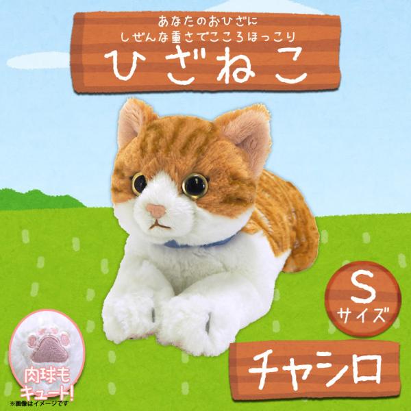 ぬいぐるみ ひざねこ 猫 茶白 チャシロ ねこ【P-7822】Sサイズ 柔らか