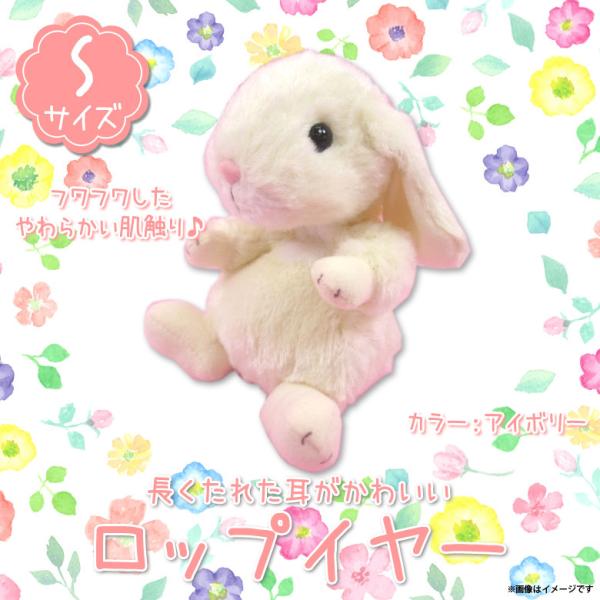 ぬいぐるみ ウサギ うさぎ ロップイヤー Sサイズ アイボリー