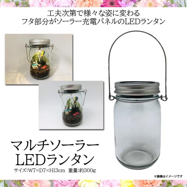 スフェラー　ランタン　照明　ソーラー　ウォールナット　美品　防災　キャンプ imgrc0077575420.jpg