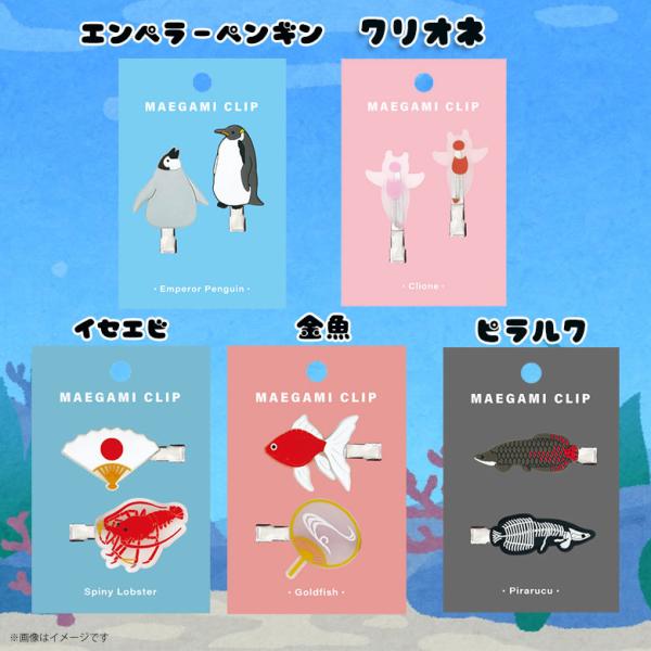 mobile-land_m000047078_2_d_20240419155303