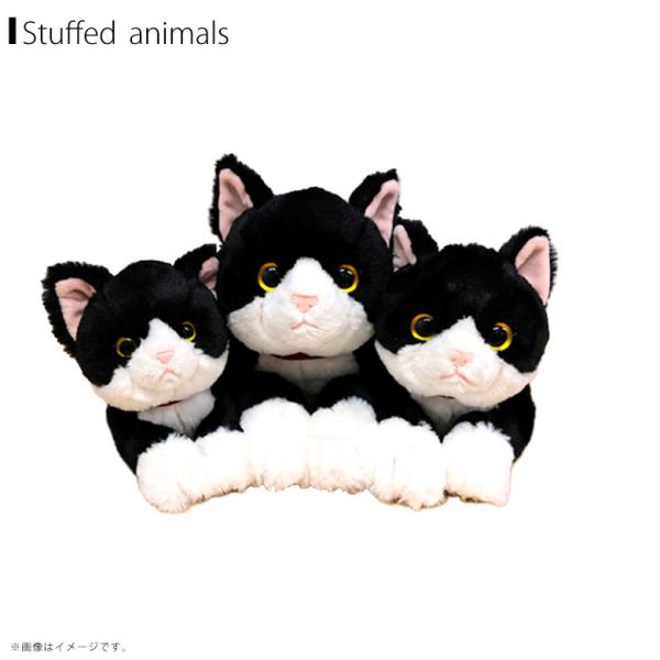 ひざねこ　お座り　ハチワレ ひざねこ ぬいぐるみ(M) ハチワレ - サンレモン