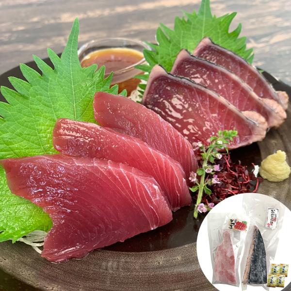 静岡 一本釣り鰹尽くし　かつおのたたき黒潮造り250g　かつお刺身170g　ポン酢20g×4