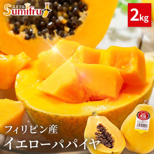 南国の日光を浴びたなめらかでねっとりした食感が特徴のトロピカルフルーツ。甘さと酸味の絶妙なバランスがあり、パパイヤ本来の風味が特徴のパパイヤで多くの人に親しまれています。水分が豊富でジューシーな果肉を持っています。一口食べると果汁が口いっぱ...