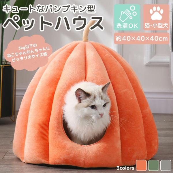 ybgxbg L  ^ h[ ^ nEX H~ NbV c[gJ[ ObY ybgpi  