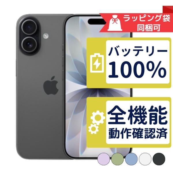 iPhone 新品同様 256GB バッテリー100% 17