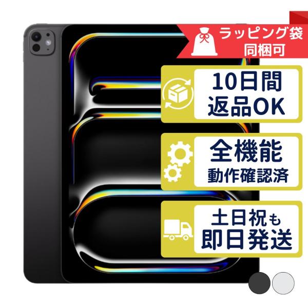 iPad Pro 13インチ M4 Nano-textureガラス 2TB Apple Wi-Fiモデル 中古