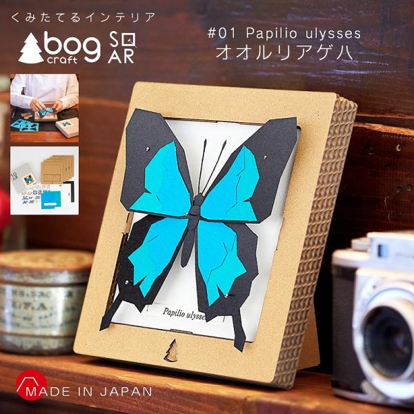 bog craft 組み立てるインテリア 工作 飾り ペーパークラフト SQAR