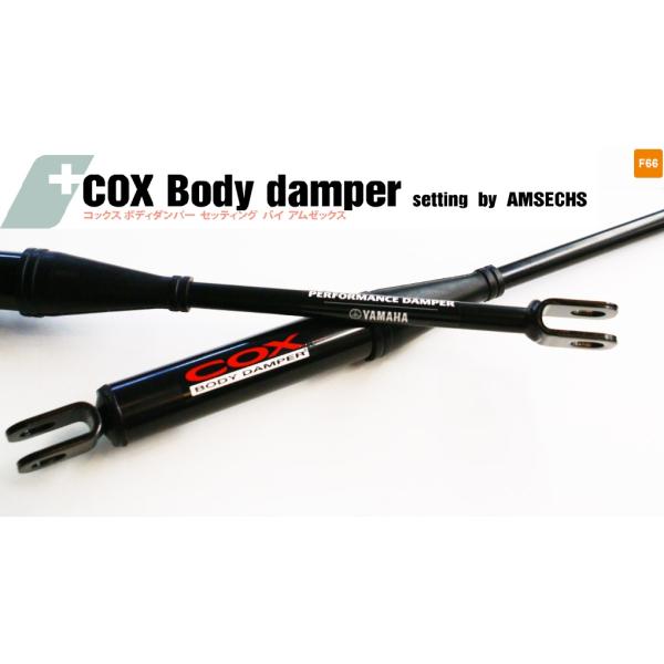 COX (コックス) ボディーダンパーsetting by AMSECHS (アムゼックス) F66用　※MINI F66