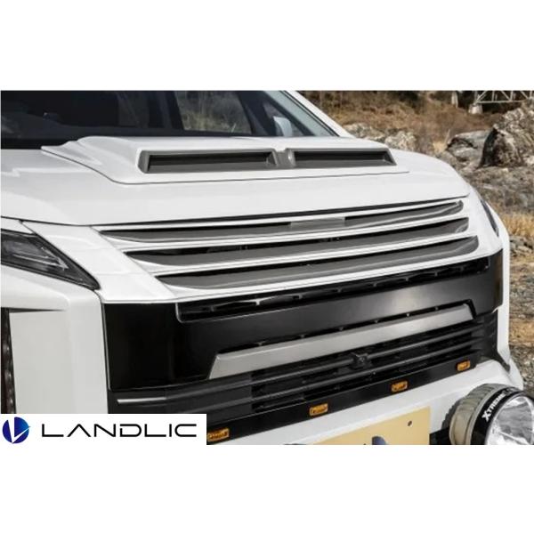 三菱（MITSUBISHI） LAND-3D5EX-002 LANDLIC（ランドリック） フェイス