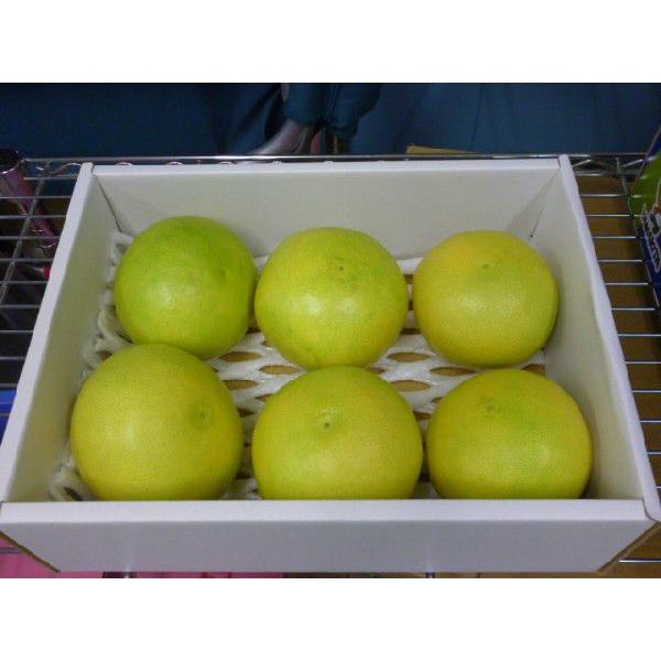 水晶文旦3kg お得用 玉数おまかせ Buyee 日本代购平台 产品购物网站大全 Buyee一站式代购bot Online