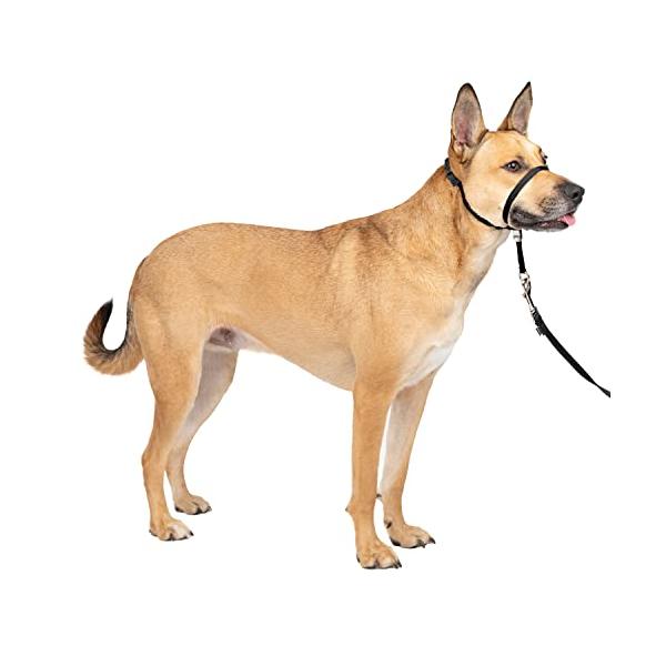 PetSafe ペットセーフ ジェントルリーダー ヘッドカラー クイックリリース（M ブラック）