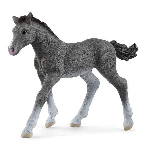 シュライヒ schleich ホースクラブ トラケナー（仔） | フィギュア 6歳以上 リアル 馬 動物 おもちゃ | 13944