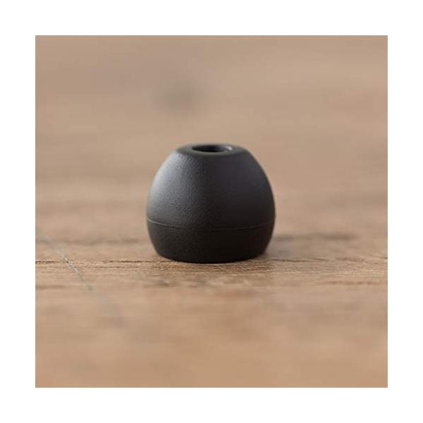 final イヤピース Eタイプ ALLサイズ 10個 FI-EPEBLBL2A4 Black