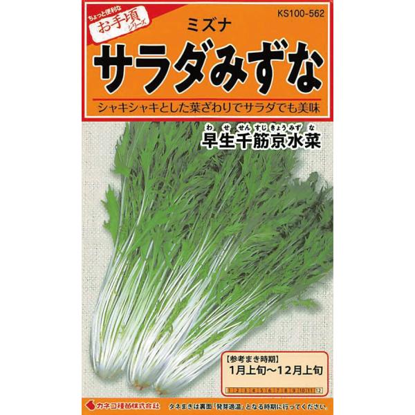 ※併売のため、在庫切れの際はご了承ください。発送委託により倉庫業者がお届けする場合がございます※発芽適温・・・15~25℃、ハウス・トンネル・・・1月上旬~3月上旬、10月下旬~12月上旬、露地・・・3月中旬~10月上旬