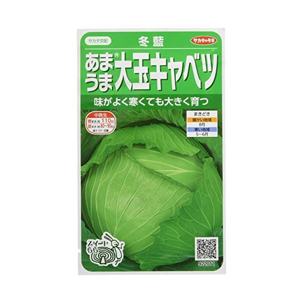 ※併売のため、在庫切れの際はご了承ください。発送委託により倉庫業者がお届けする場合がございます※切替月:6月詰量:0.7ml発芽率:80採苗本数:70春秋扱い:春秋兼用種春:○秋:○