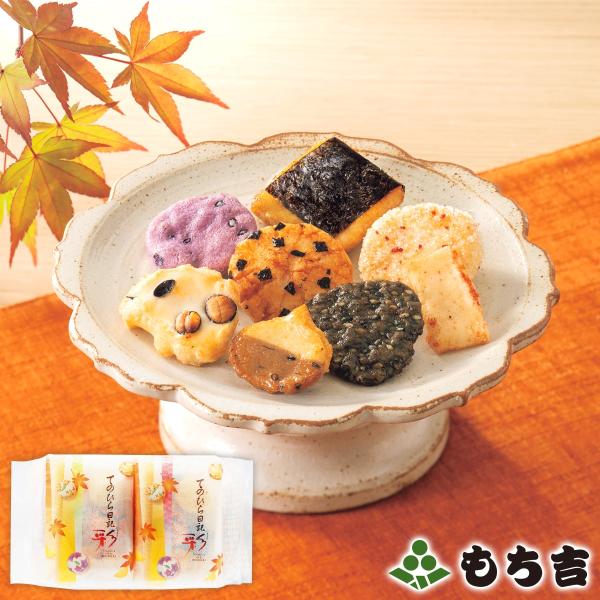 （※期日指定10月4日までお届け可）てのひら日記 彩 詰替パック
