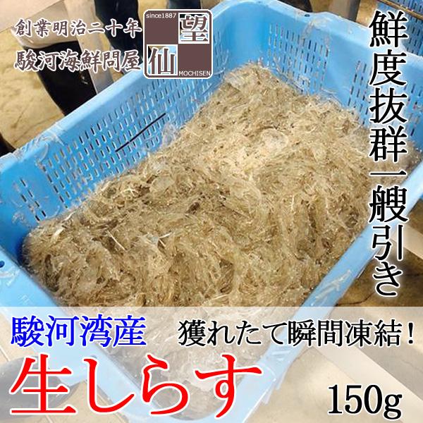 生しらす/シラス 静岡県産 （150g）