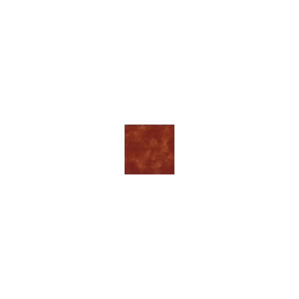 n ނߐn@HMMMF-6@30POcmPʂł̐؂蔄@nCALg