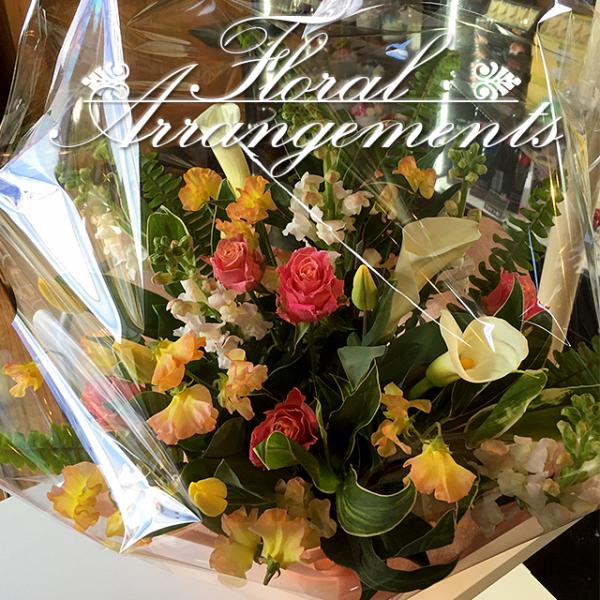 Ԃ̃AWg 100 t[Mtg t[AWg v[g j a LO LO ސEj NX}X ̓ hV̓