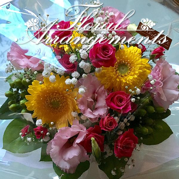 Ԃ̃AWg 45 t[Mtg t[AWg v[g j a LO LO ސEj NX}X ̓ ̓ hV̓