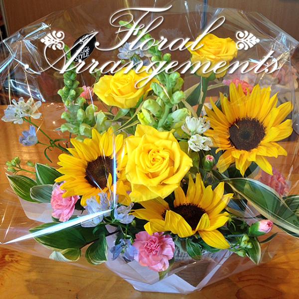 Ԃ̃AWg 60 t[Mtg t[AWg v[g j a LO LO ސEj NX}X ̓ ̓ hV̓