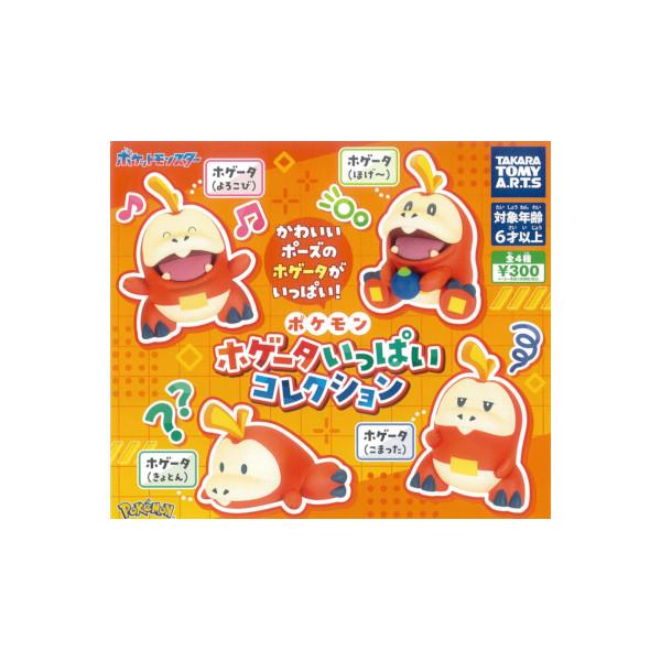 【ポケモン ホゲータいっぱいコレクション　全４種】ポケモン１体にフィーチャーした「いっぱいコレクション」シリーズに、「ホゲータ」が登場！ほのぼのしたキュートな仕草や表情で立体化されており、魅力あふれる仕上がりになっています「ホゲータ」好きに...