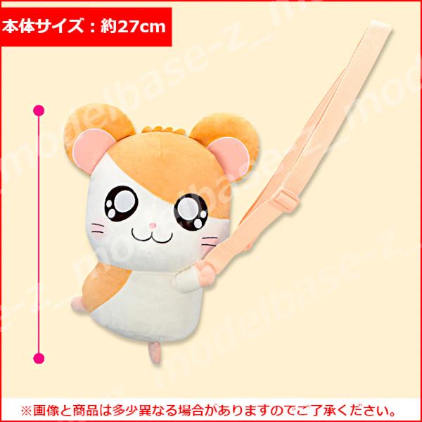 modelbase-z_15r011597_2_d_20260213130340