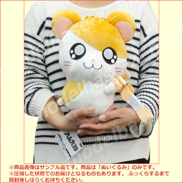 modelbase-z_15r011597_4_d_20260213130351