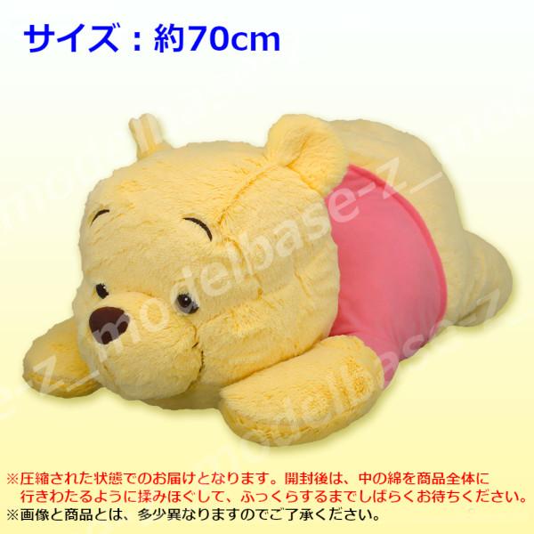 modelbase-z_18r009859_2_d_20241223153325