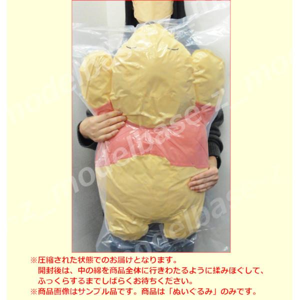 modelbase-z_18r009859_3_d_20241223153331