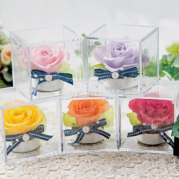 プリザーブドフラワーのバラを1輪ずつキューブに閉じ込めました。お気に入りの色をお選びいただけます。キューブ型なので重ねたり、並べたり、お好みの飾り方でお楽しみください。