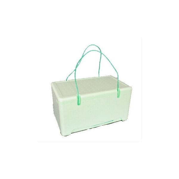 modern-pro_2000501584519