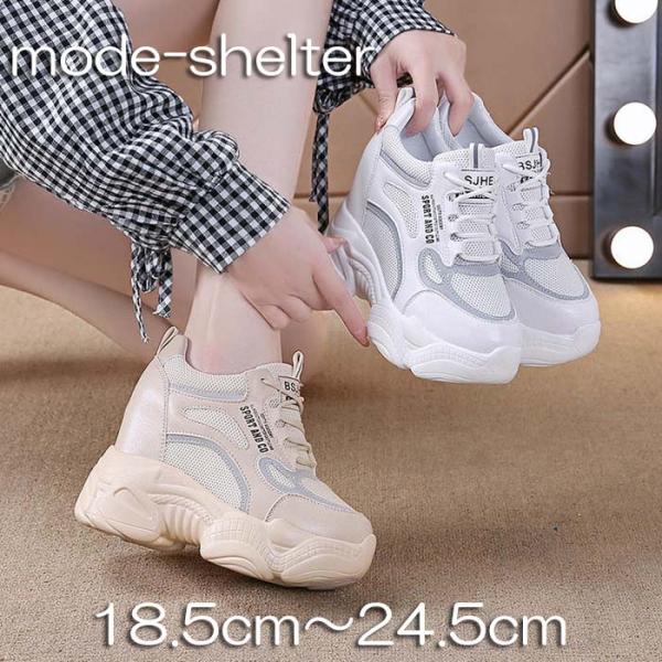 modeshelter3_tk3