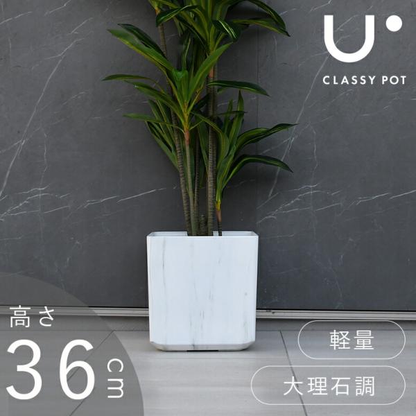 【まとめ買い値引き可】 DIP鉢　限定40個 まとめ買い値引き可】 DIP鉢 限定40個