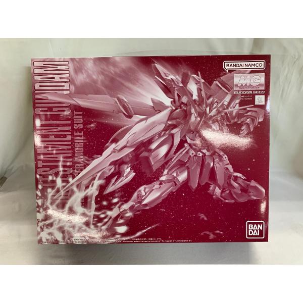 1/100 MG ZGMF-X12A/RGX-00 テスタメントガンダム 未開封】1/100 MG ZGMF-X12A/RGX-00 テスタメントガンダム 「機動戦士