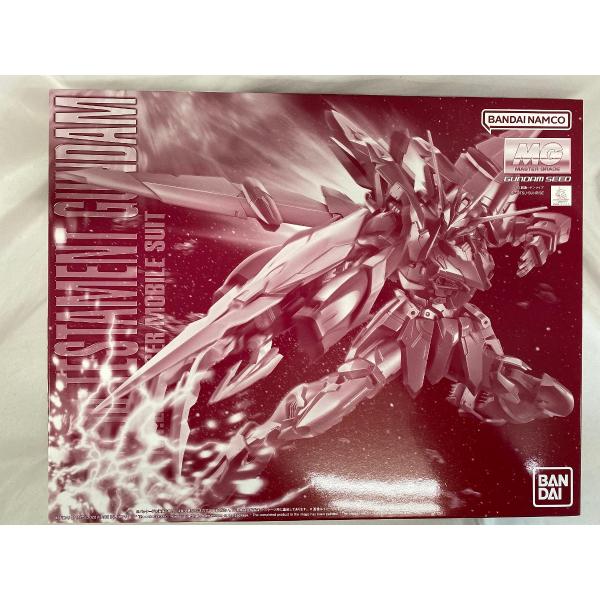 MG テスタメントガンダム 未組み立て MG テスタメントガンダム 未組み立て MG 1/100 テスタメント