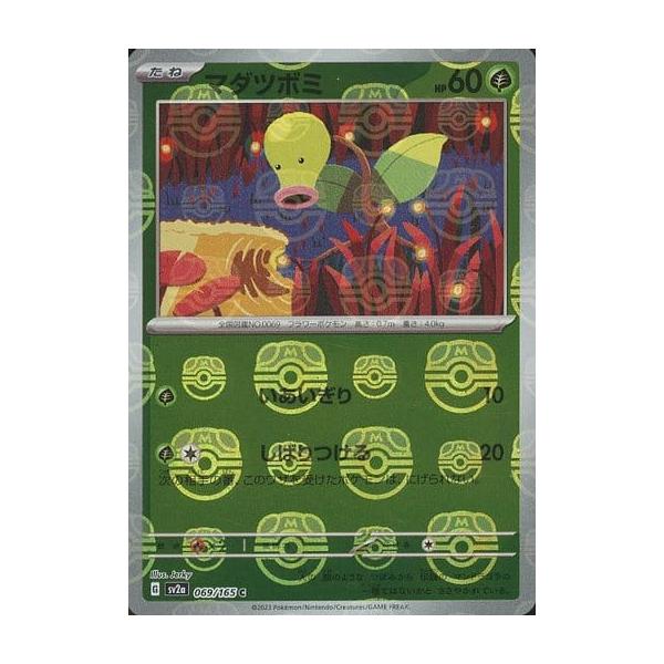マダツボミ　カブト　 マスターボールミラー【PSA10】ポケモンカード151 マダツボミ カブト マスターボールミラー【PSA10】ポケモン