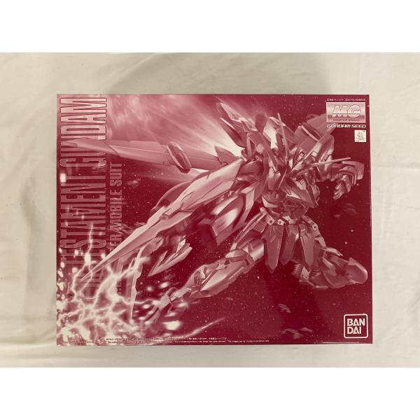 未開封】1/100 MG ZGMF-X12A/RGX-00 テスタメントガンダム 「機動戦士