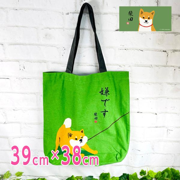 tyler the creator VIP特典 ビッグトートバッグ ＆ パス tyler the creator VIP特典 ビッグトートバッグ ＆ パス タイラー・ザ