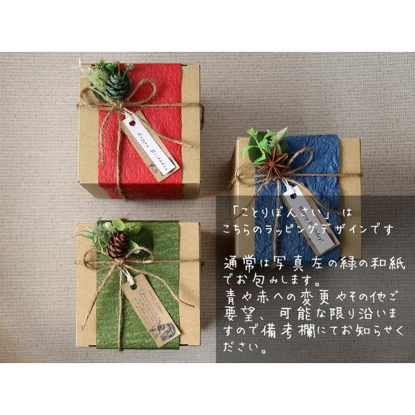 ナチュラルギフトラッピング Buyee Buyee Japanese Proxy Service Buy From Japan Bot Online