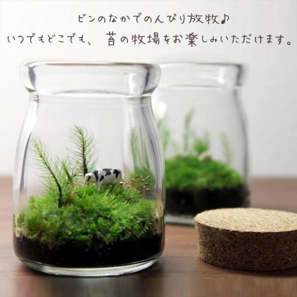 苔テラリウム 動物達の牧場 盆栽 母の日 父の日 ギフト プレゼント レビューでおまけ 定形外ok Buyee Buyee 提供一站式最全面最專業現地yahoo Japan拍賣代bid代拍代購服務 Bot Online