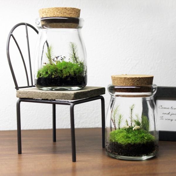 苔テラリウム 動物達の牧場 盆栽 敬老の日 ギフト プレゼント レビューでおまけ 定形外ok Buyee Buyee 提供一站式最全面最專業現地yahoo Japan拍賣代bid代拍代購服務 Bot Online