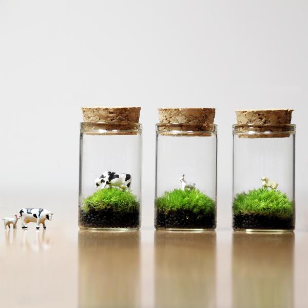 苔テラリウム 動物のいる草原 植物 母の日 ギフト プレゼント レビューでおまけ 定形外OK /【Buyee】 苔テラリウム 動物のいる草原 植物 母の日 ギフト プレゼント レビューでおまけ 定形外OK /【Buyee】