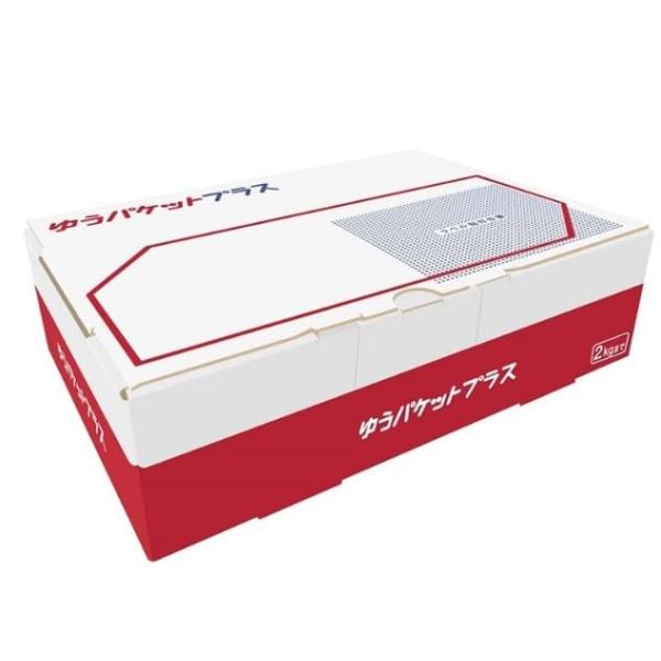 ゆうパケットプラス専用箱 事務用品 オフィス 個人 法人 ショップ 発送資材 梱包資材 配送 出荷 メルカリ フリマ用 (10枚)