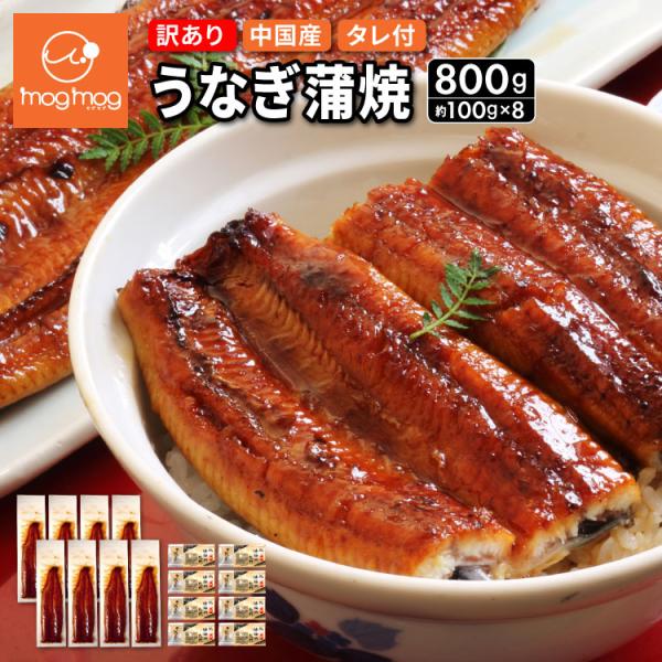 送料無料 中国産 訳あり うなぎ 蒲焼 約100g×8尾 うなぎ 鰻 ウナギ