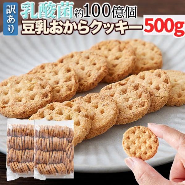 【15％OFFクーポン配布中】乳酸菌約100億個【訳あり】豆乳おからクッキー250g×2袋 豆乳おからクッキー おから 豆乳 乳酸菌 クッキー 焼き菓子 爆買